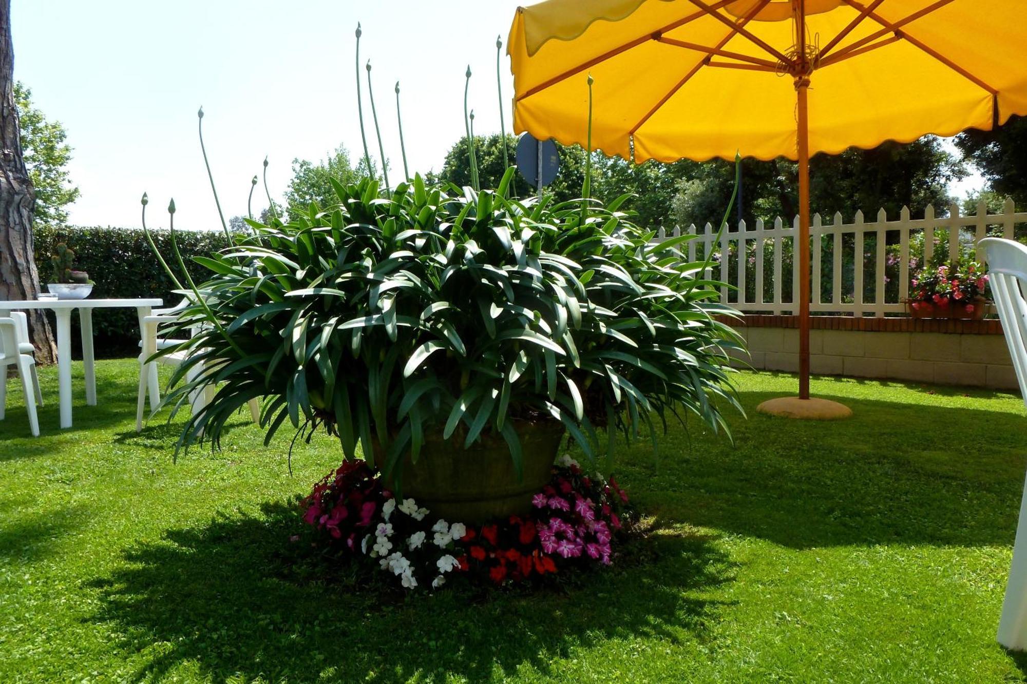 Hotel Versilia Lido di Camaiore Exterior foto