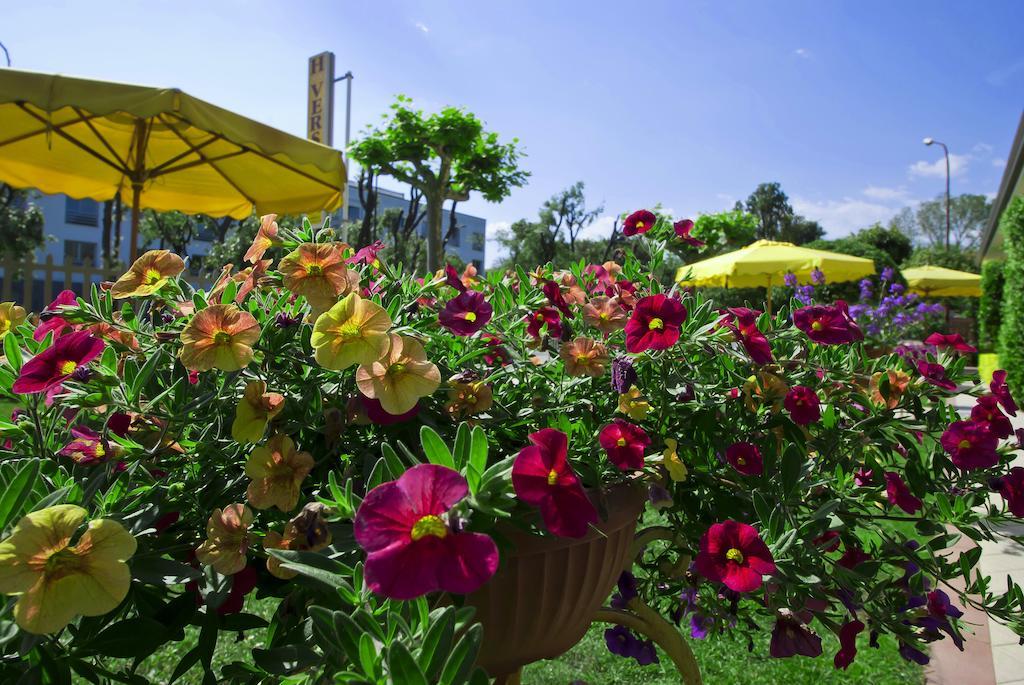 Hotel Versilia Lido di Camaiore Exterior foto